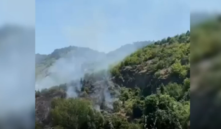Sinop'ta orman yangını: 10 hektarlık alan zarar gördü