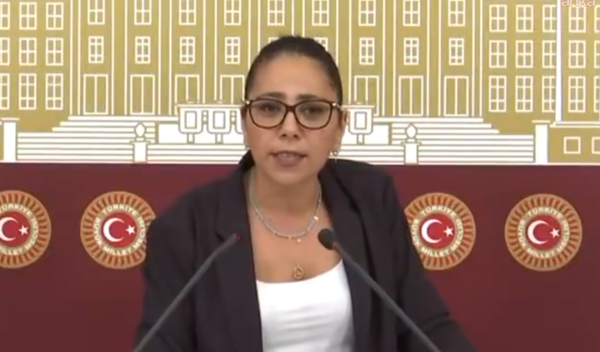 Sera Kadıgil hakkında soruşturma başlatıldı