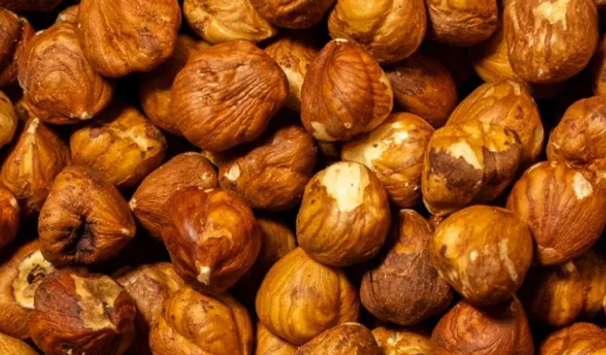 Fındık alım fiyatları açıklandı