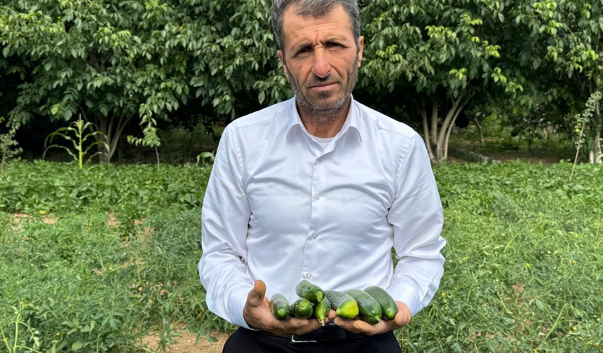 3 kez “Yılın Çiftçisi” seçildi! Şimdi destek bekliyor