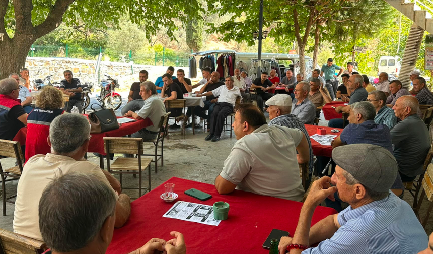 Aydın incirinde yeni sezon öncesi yoğun mesai