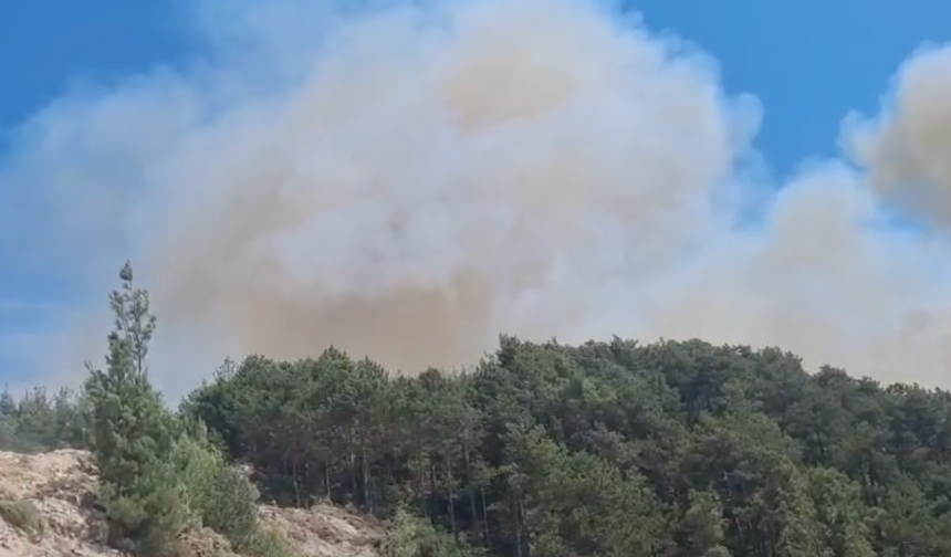 Balıkesir'de yangın!
