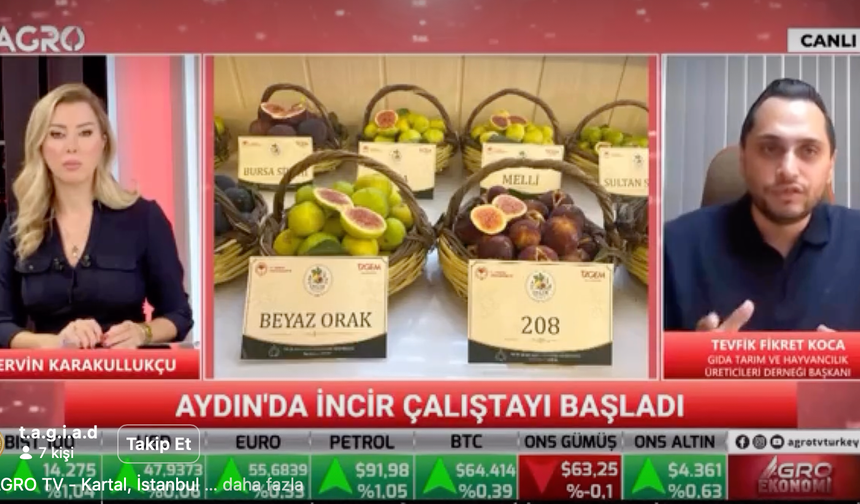Tevfik Fikret Koca’dan Bakan Yumaklı’ya incir hasadı daveti