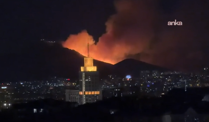 Ankara Mamak'ta çıkan yangın kontrol altına alındı