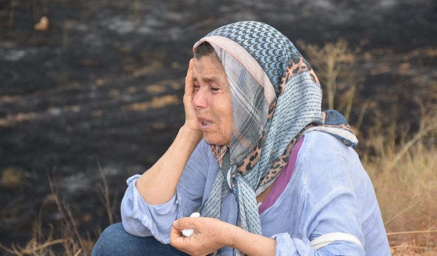 Aydın Karacasu'da zeytin ağaçları yanan kadın gözyaşlarını tutamadı