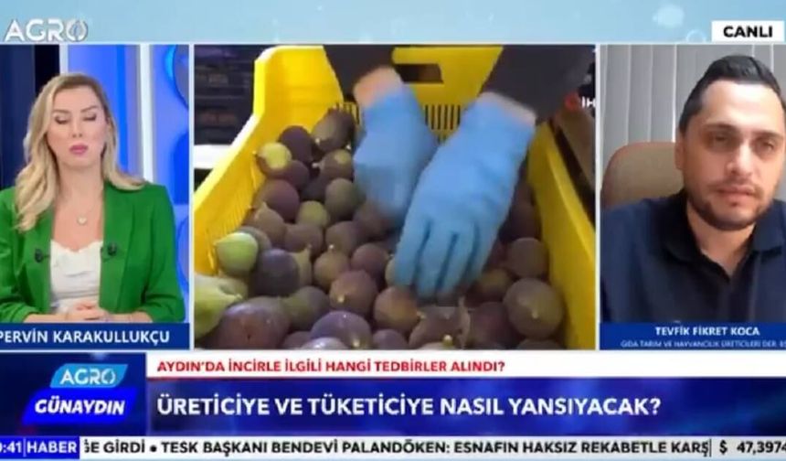 Koca, “Ne yapalım incir ağaçlarını da mı sökelim?”