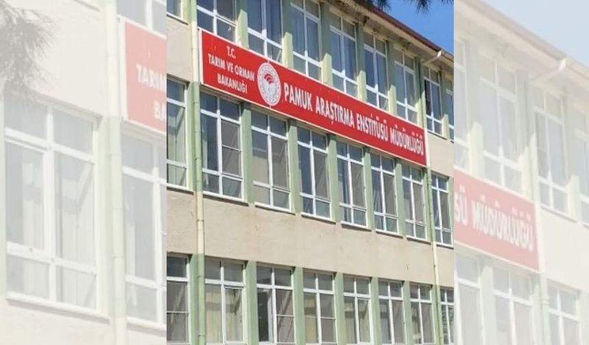 Nazilli Pamuk Araştırma Enstitüsü’nde şafak operasyonu: Müdür ve 3 yönetici gözaltında
