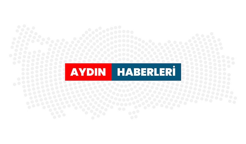 Nazilli’de Ceviz Toplarken Ağaçtan Düştü! 73 Yaşındaki Kadın Yaralandı