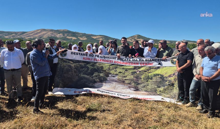Bingöl’de Karacehennem Ormanları’ndaki ağaç kesimine tepki