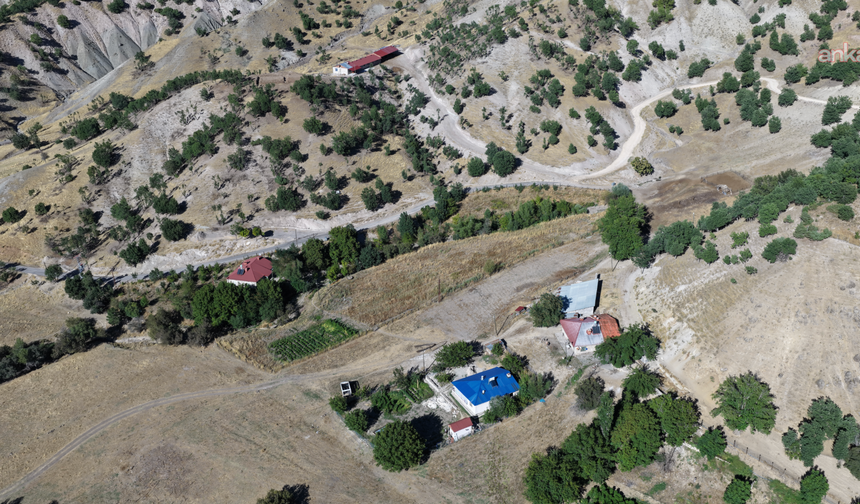Tunceli’de hayvancılık yapan köylüler, artan ayı saldırılarından şikayetçi