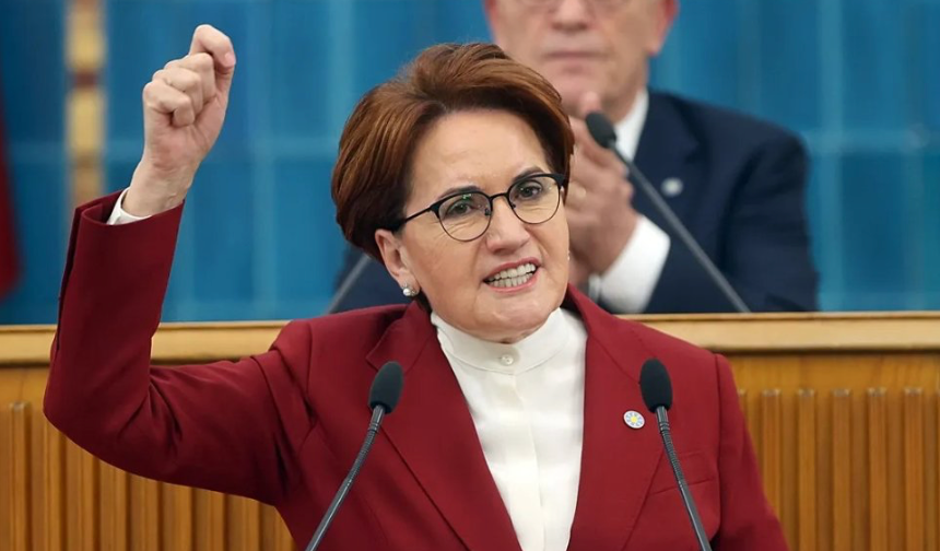 Meral Akşener vakıf kurdu