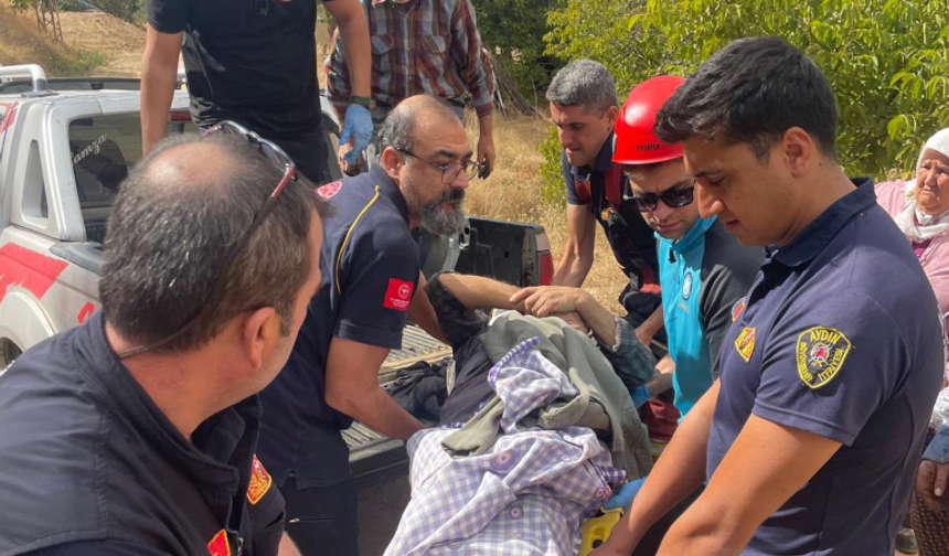 Nazilli’de ceviz ağacından düşen yaşlı adam yaralandı