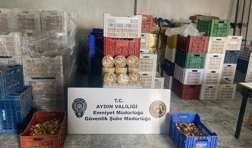 Aydın’da sahte gıda operasyonu!