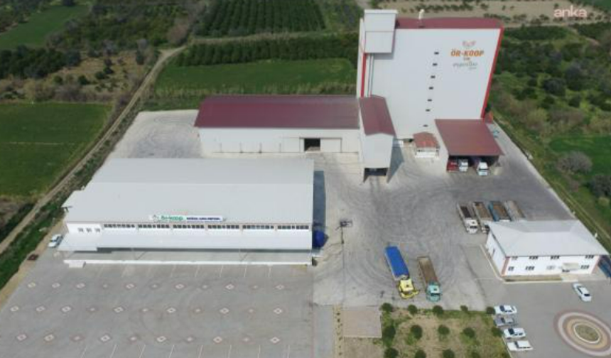 Aydın'da 47 yıllık üretici kooperatifi konkordato ilan etti