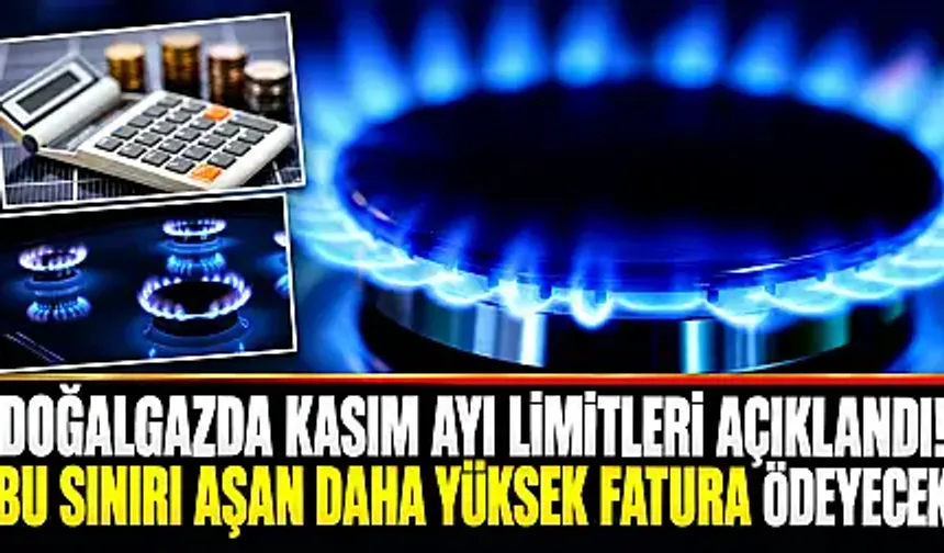 DOĞALGAZDA KADEMELİ DESTEK DEVRİ: KASIM AYI İL İL TÜKETİM LİMİTLERİ BELİRLENDİ