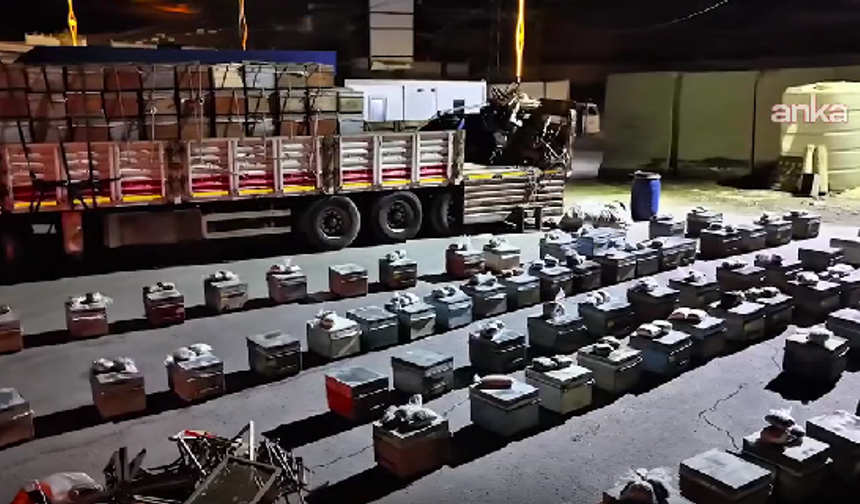 Arı kovanlarına gizlenen 91,1 kilo yasaklı madde ele geçirildi