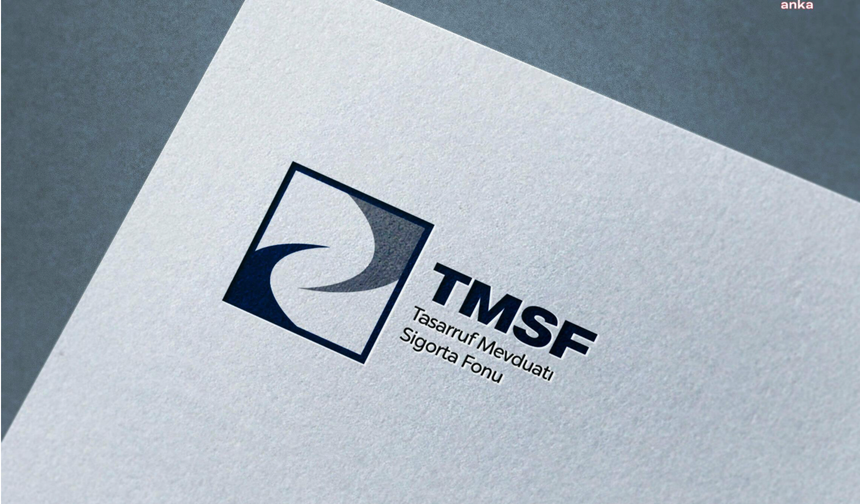TMSF, Tera Holding'e kayyum olarak atandı