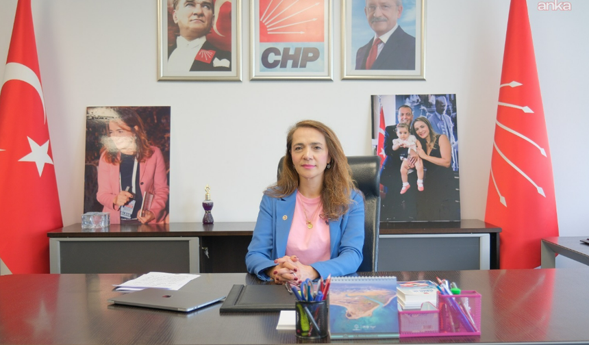 CHP Genel Başkan Yardımcısı İlgezdi: "Grip mevsimi kapıya dayanmışken aşı yok"